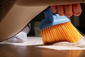 Image result for sweep under the rug