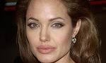 Angelina Jolie and Brad Pitt’s Year-End Charity Contribution