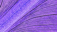 Dentons advises CPI Property Group on two liability management transactions