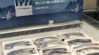 July Signals Records in Norwegian Mackerel and Herring Exports
