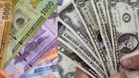 Sri Lankan Rupee appreciates against USD by 11.5 pc