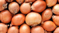 Onion Prices in Uzbekistan Drop 40% in a Month, but Remain Three Times Higher Than Last Year