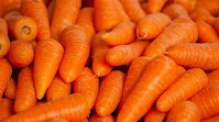 Last Year’s Carrots Becoming More Expensive, New Harvest Already on Sale: What’s Happening with Root Vegetable Prices in Uzbekistan?