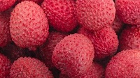 Vietnam lychee prices surge following short crop