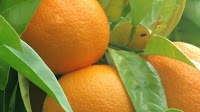 Price reduction spur Mazoe Syrup sales