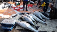 Vietnam’s seafood exports to US dip in June after multiple months of growth