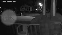Rochester police investigating video that purportedly shows mountain lion in city