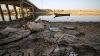 Iraq’s Tigris and Euphrates near collapse as water crisis deepens - Shafaq News