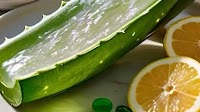7 Easy Step To Make Aloe Vera Gel At Home For This Winter
