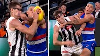 ‘Punched in the face’: Dog’s closed fist to draw MRO attention... but key act could save him