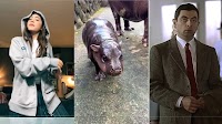 Top global TikToks in 2024: Mr. Bean disciple, lip-synch for their life, baby hippo! : Goats and Soda