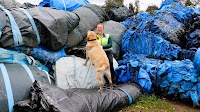 A small-town solution to the 100-million kilos of agricultural plastic buried in Australian tips each year