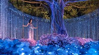 Nasatta Light Festival 2025 — A Dazzling Display Of Lights, Food, And Culture