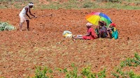 Study finds disturbing trend of rising suicidal thoughts among farmers