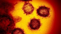 Study suggests new coronavirus may remain on surfaces for days