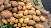 Decrease in Potato Yield in Ukraine