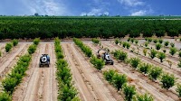 CNH partners with Bluewhite to bring autonomous tech to orchards