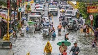 Low chance of leptospirosis becoming public health emergency: infectious diseases expert