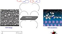 Insight into the corrosion inhibition of new benzodiazepine derivatives as highly efficient inhibitors for mild steel in 1 M HCl: Experimental and theoretical study