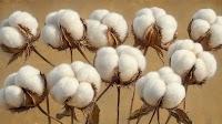 ICE cotton touches one month low as Brazilian sales rise