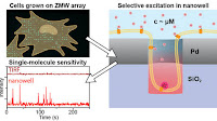 Zero-Mode Waveguide Nanowells for Single-Molecule Detection in Living Cells