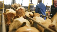 More marts leave LSL as charges come in