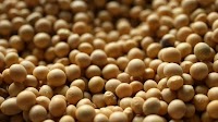 Brazilian soybean market had a more agitated week in terms of business