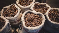 Uganda Coffee Exports Reach RecordBreaking US$ 1.14 Billion