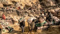 News at a glance: Sustainable Development Goals, CO2 removal, and hominin fossils in space