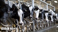 USMCA trade deal: Who gets what from 'new Nafta'?