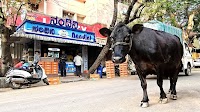 KMF plans to set up more Cafe Moo outlets in city