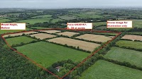 North Cork farm fetches around €13k/acre at auction