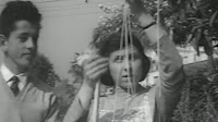 BBC’s 1957 April Fool’s “spaghetti-tree hoax” is more relevant than ever
