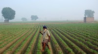 SLCM, BoB tie up to provide collateral services for agricultural financing