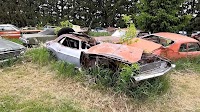 Wisconsin Junkyard Packed With Saddening Mopars Hides Super-Rare Charger Daytona Surprise