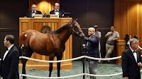 Baffert's First Churchill Starter Since Lifting Of 3-year Ban Will Be $3.2m Colt Owned By Zedan