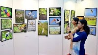 Chennai students' photographic journey unveiled