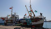 'Israel brought this on itself,' Anti-Zionist American Jew onboard Handala claims