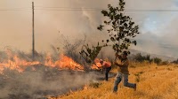 Fossil-Fueled Climate Heating Set the Stage for Devastating Fires in Spain and Portugal This Summer