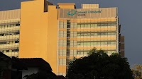 Insurer Great Eastern pauses pre-authorisation certificates for Mount Elizabeth admissions