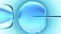 New STI impacts 1 in 3 women: Landmark study reveals men are the missing link