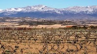 Police Bust Fake Rioja Ring