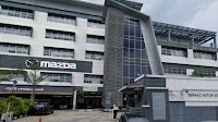 Is Bermaz Auto Facing Insurmountable Challenges?