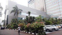What Earned Indonesia's PLN a Spot in the Fortune Global 500?