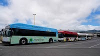 GILLIG Delivers 12 Battery Electric Buses for Hawaii