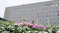 SEK 9.9 million for research about the health and well-being of the elderly