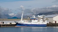 Iceland fishing industry says proposed law would harm its economic viability