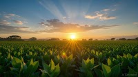 Navigating Brazil's Volatile Currency: Capitalizing on Emerging Market Opportunities Amid Geopolitical Tensions