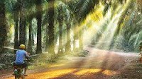 Oriental to acquire plantation companies, oil palm estates in Malaysia and Indonesia for RM1.2b