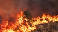 Thousands told to evacuate after two new blazes start in Los Angeles County